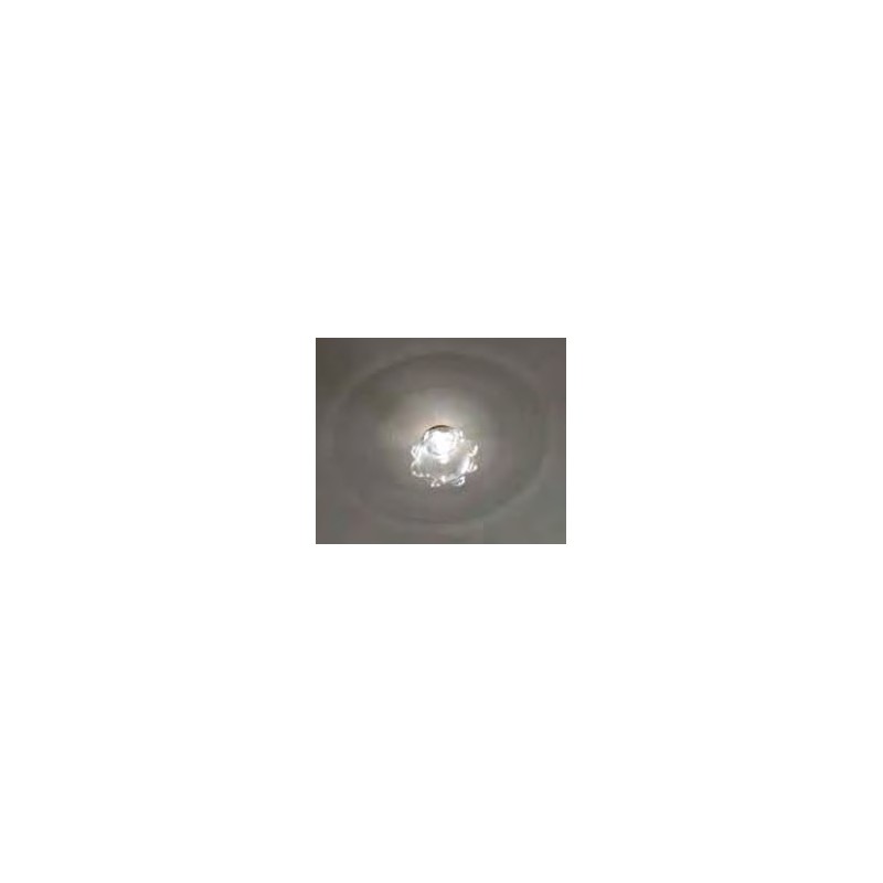 Radial frosted sun pastry 20w12v g4 Radial frosted sun pastry 20w12v g4