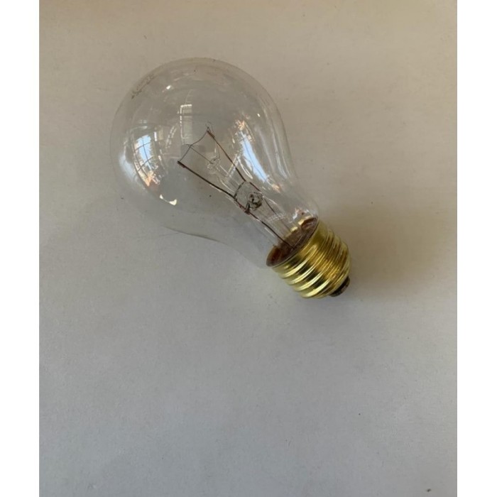 Lampadina carbon, e27, pera a95, vetro ambrato, 30w, 60 lm, colore caldo 2000k, filamento vite, classe e, dimmerabile