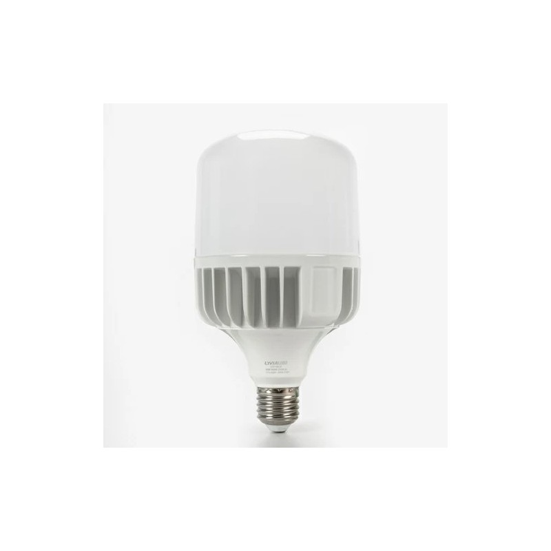Hi power led lamp 20w b.diurno Hi power led lamp 20w b.diurno