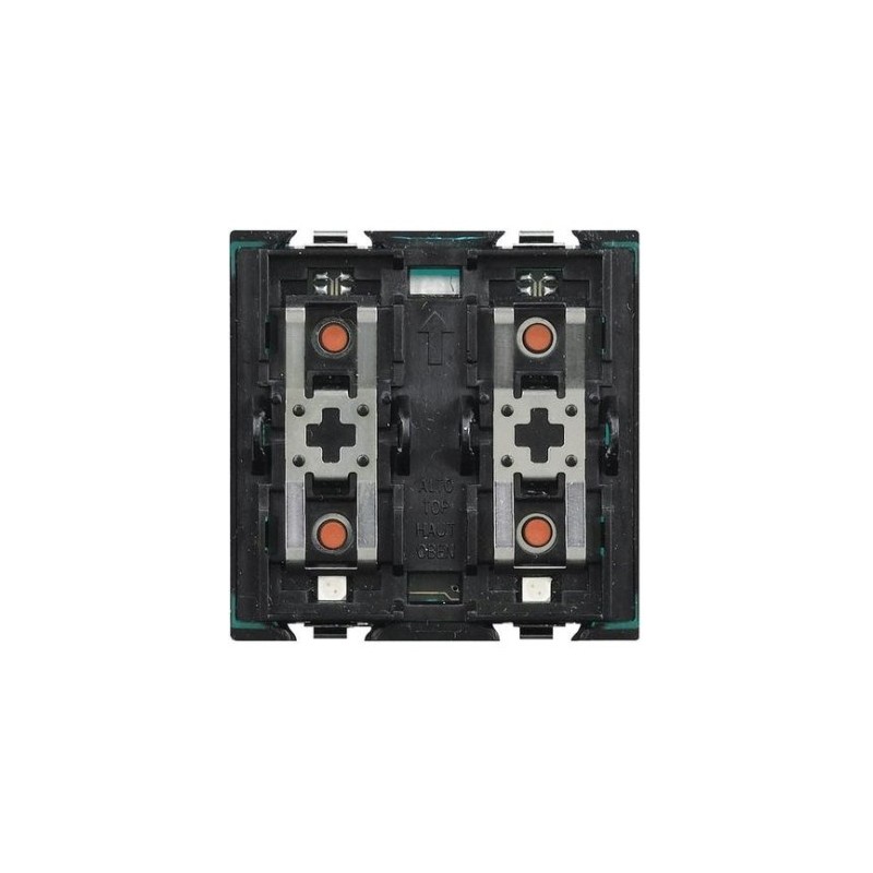 Axolute - Built-in Amplifier 2 Modules Axolute - Built-in Amplifier 2 Modules