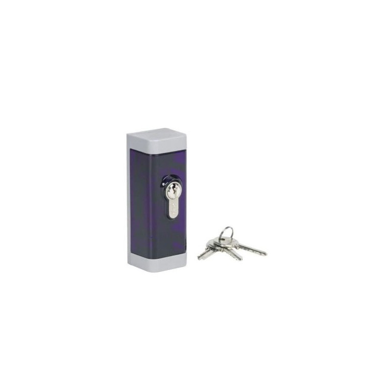 Dcs100 selettore chiave parete + per dca Dcs100 selettore chiave parete + per dca