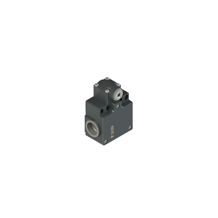 Position switch for rotary levers