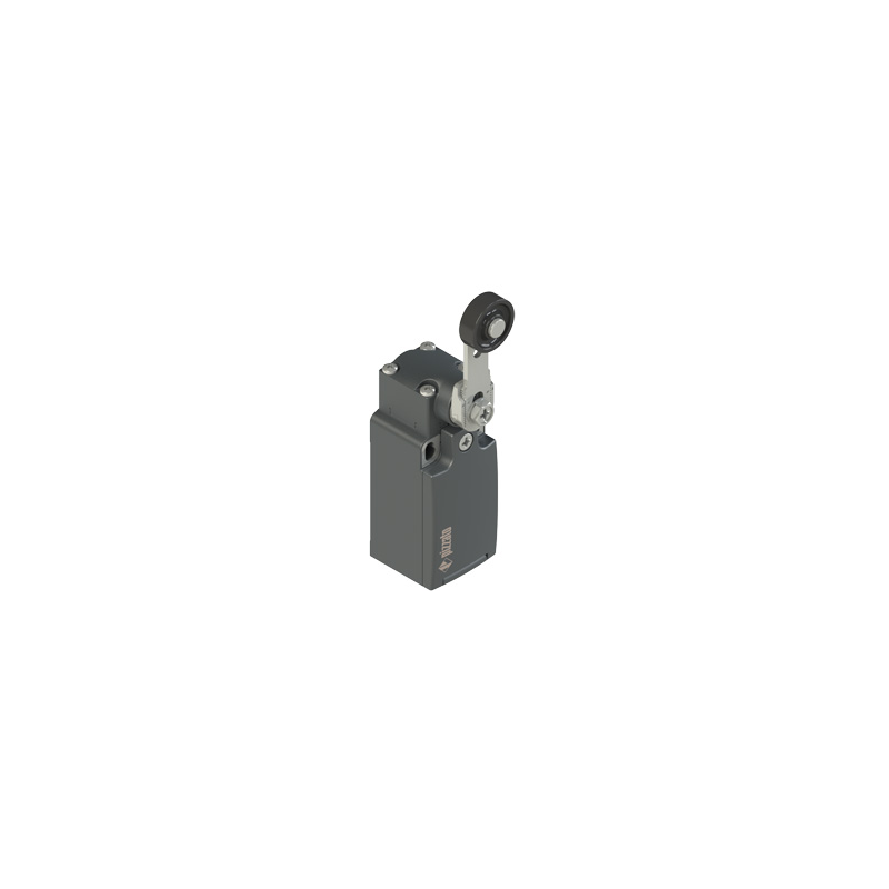 Rotary Lever Position Switch Rotary Lever Position Switch