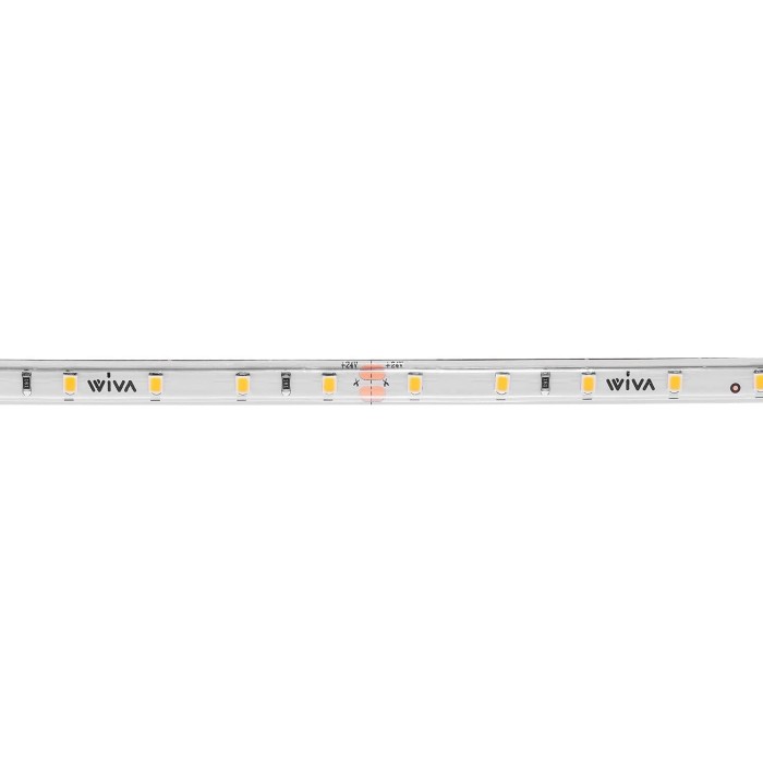 Strip led 41700138 12w 24v 6.5k cri80 60l 5m