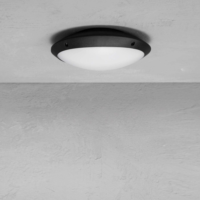 Ceiling light Wli bulk-o pl incl 20w nw vw