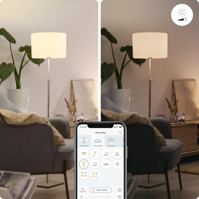 Lampadina WiZ Dimmerabile Goccia Smerigliata 60W E27 - Luce Regolabile, Controllo Smart e Design Elegante