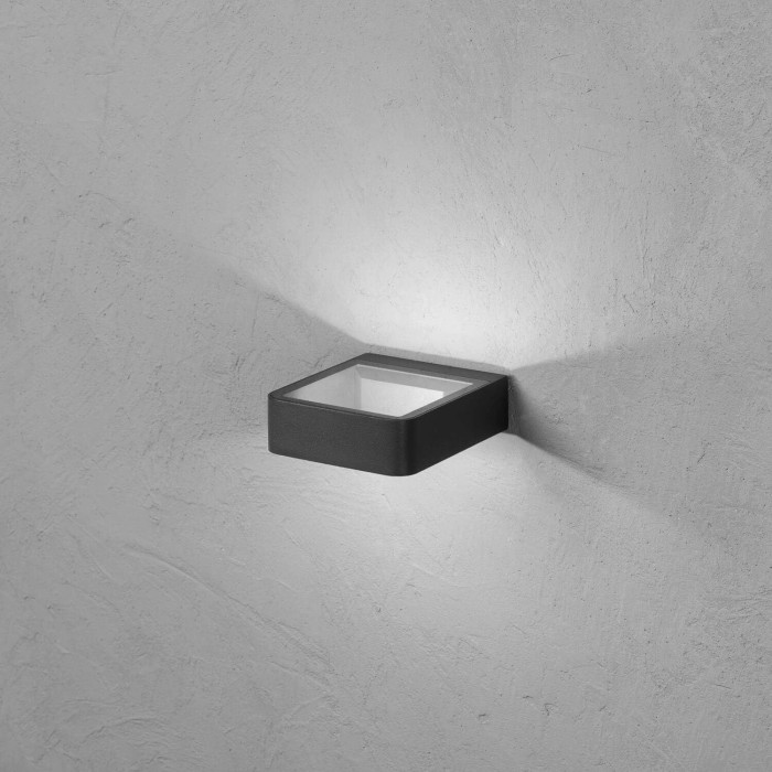 Double emission IP65 IK08 LED wall light