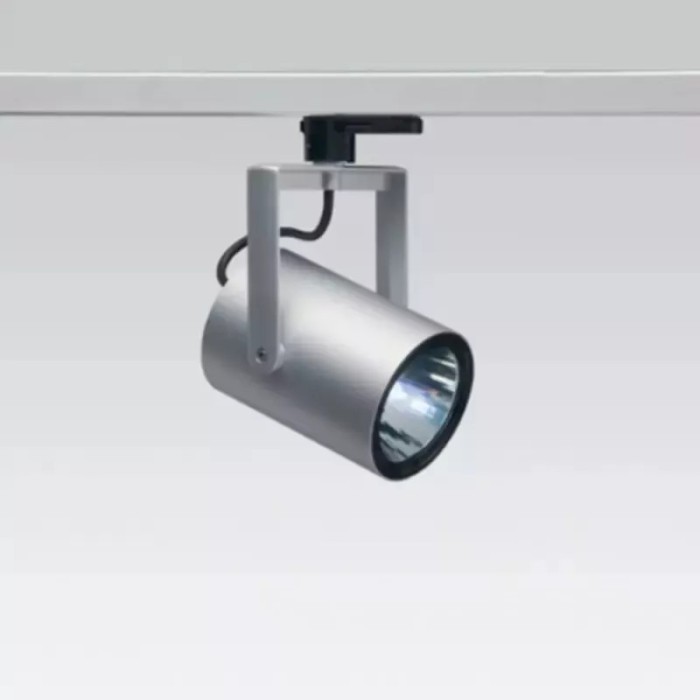 iGuzzini Front Light Small LED Projector with Warm White Medium LED